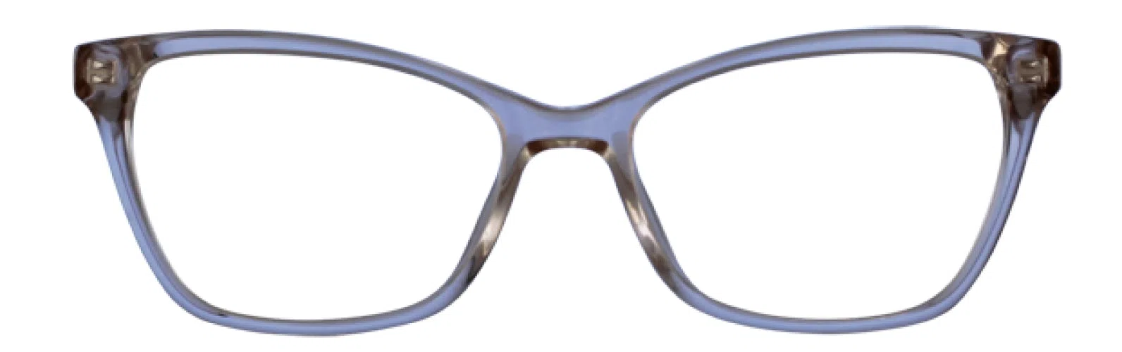 Via Spiga VSDulcina Eyeglasses - Champagne - view 4